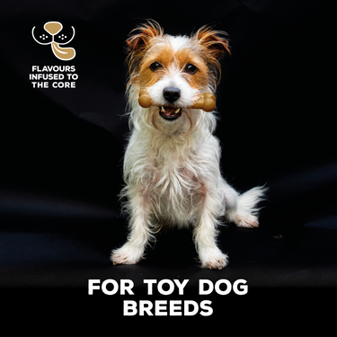 TastyBone Nylon Toy Dog - Lamb